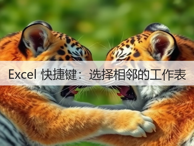 Excel 快捷键:选择相邻的工作表(图1) Excel 快捷键:选择相邻的工作表(图1)