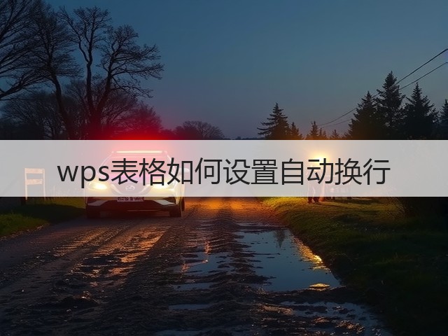wps表格如何设置自动换行(图2)