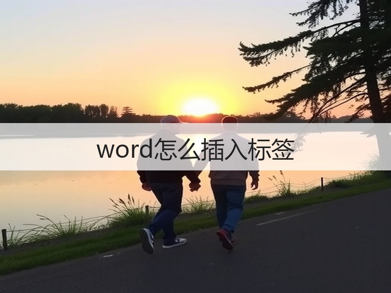word怎么插入标签 - 诺云壹观办公网