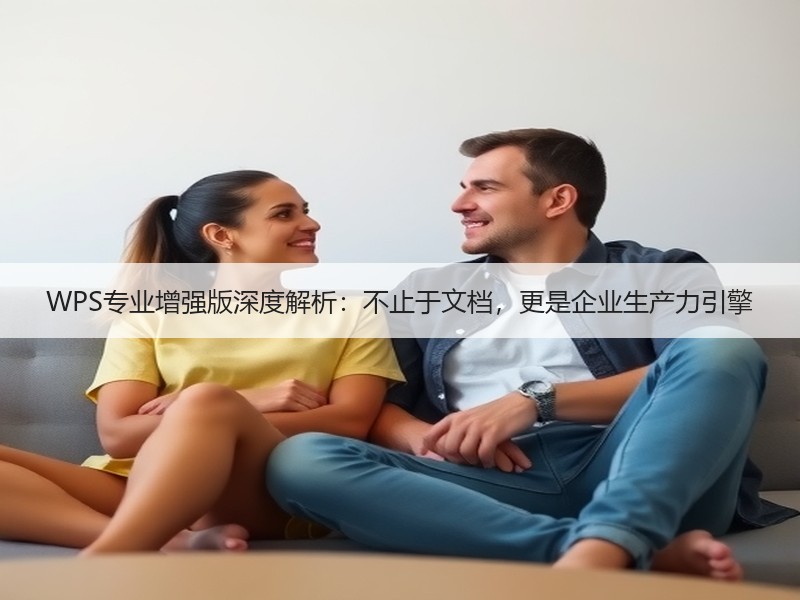 WPS专业增强版深度解析：不止于文档，更是企业生产力引擎 - 诺云壹观办公网