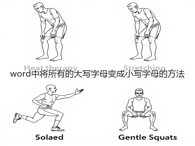 word中将所有的大写字母变成小写字母的方法(图2) word中将所有的大写字母变成小写字母的方法(图2)