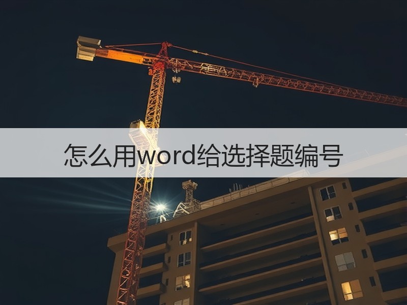 怎么用word给选择题编号 - 诺云壹观办公网