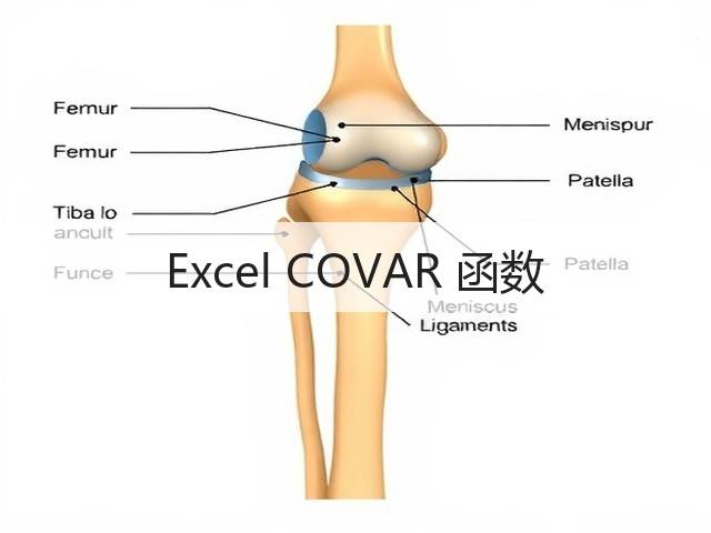 Excel COVAR 函数(图2)