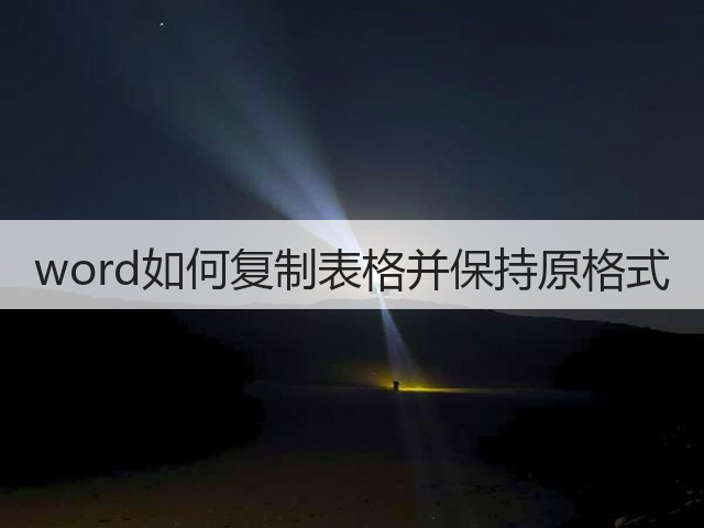 word如何复制表格并保持原格式(图3)