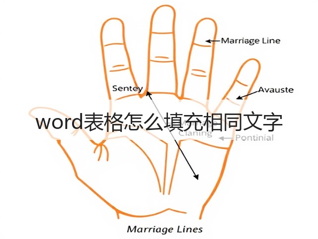word表格怎么填充相同文字(图3)