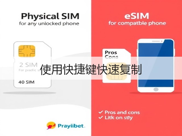 使用快捷键快速复制(图1)