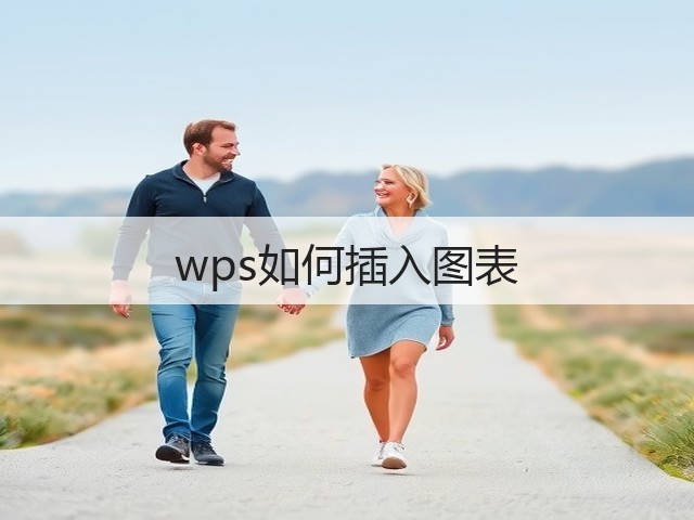 wps如何插入图表(图3) wps如何插入图表(图3)