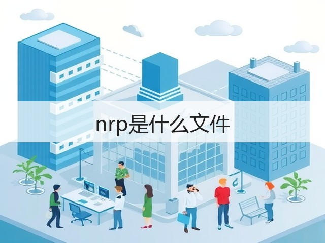 nrp是什么文件(图1)