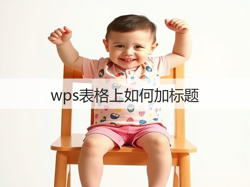 wps表格上如何加标题 - 诺云壹观办公网