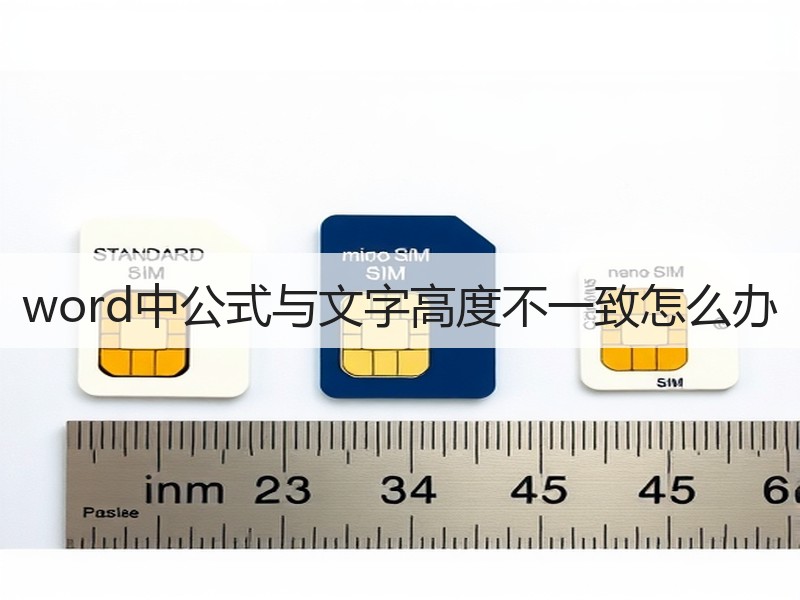 word中公式与文字高度不一致怎么办 - 诺云壹观办公网