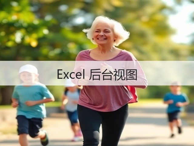 Excel 后台视图(图3)