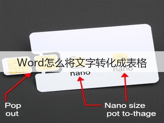 Word怎么将文字转化成表格(图3)
