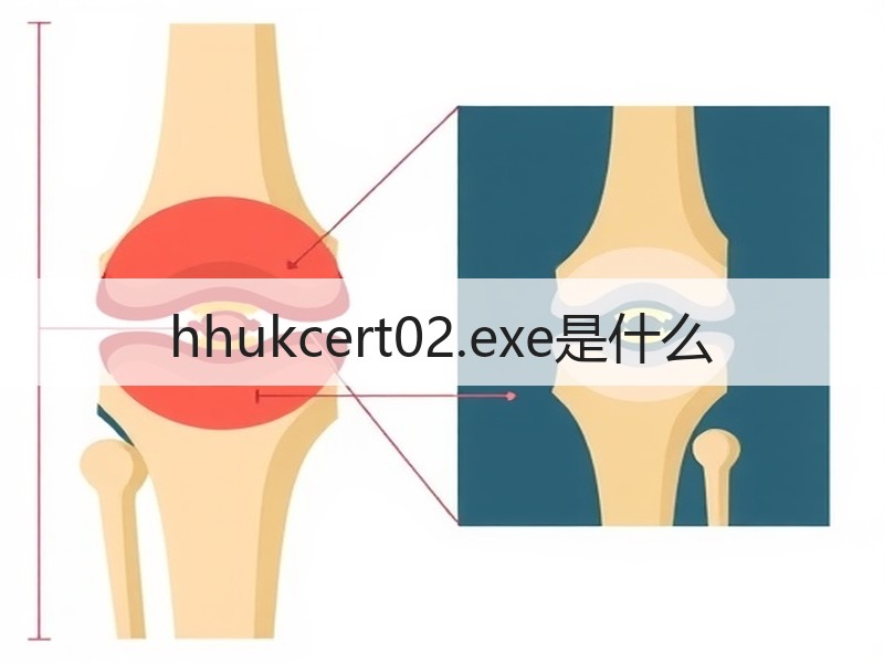 hhukcert02.exe是什么 - 诺云壹观办公网