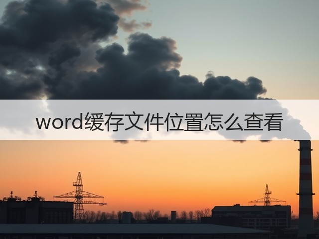 word缓存文件位置怎么查看(图3) word缓存文件位置怎么查看(图3)