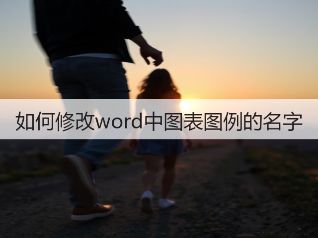 如何修改word中图表图例的名字(图3)