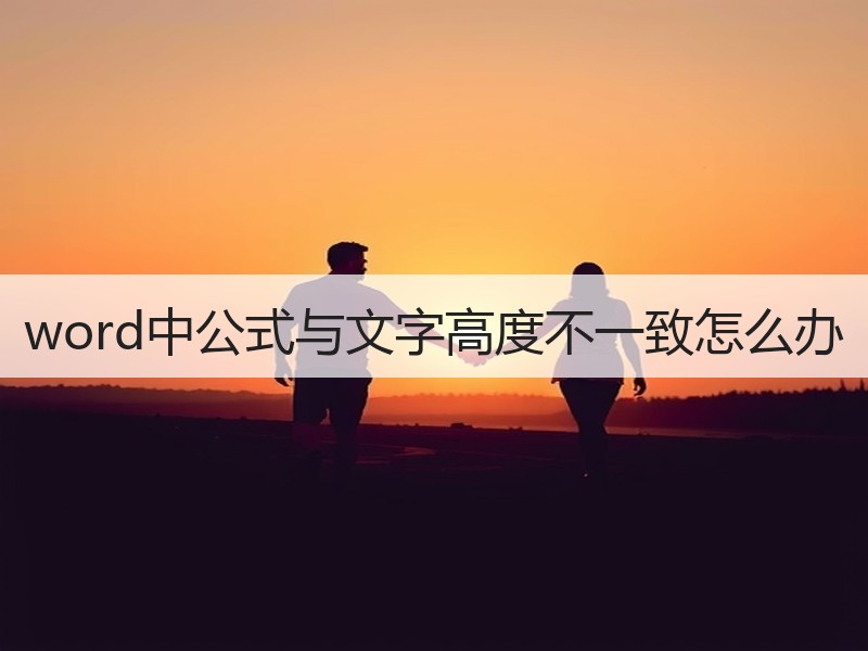 word中公式与文字高度不一致怎么办 - 诺云壹观办公网