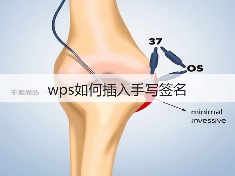 wps如何插入手写签名 - 诺云壹观办公网