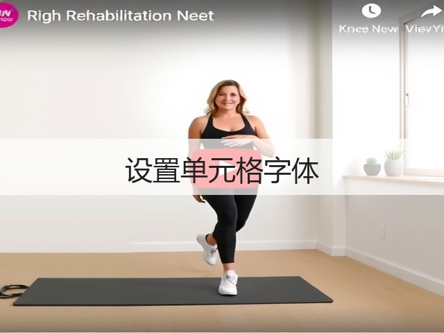 设置单元格字体(图1) 设置单元格字体(图1)