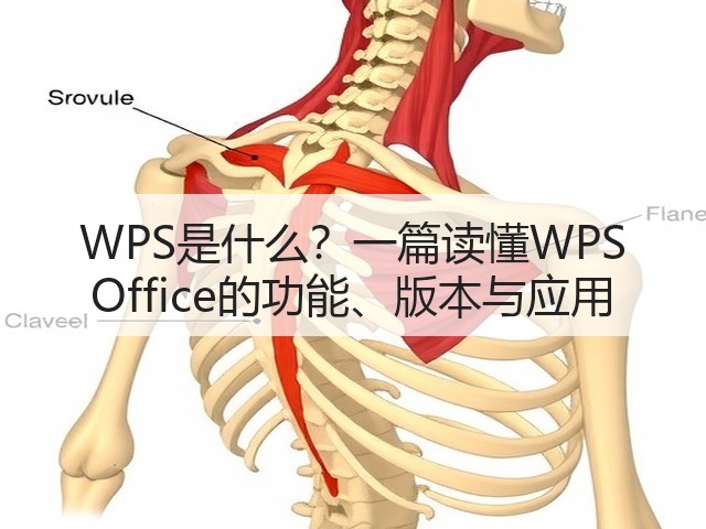 WPS是什么?一篇读懂WPS Office的功能、版本与应用(图2) WPS是什么?一篇读懂WPS Office的功能、版本与应用(图2)