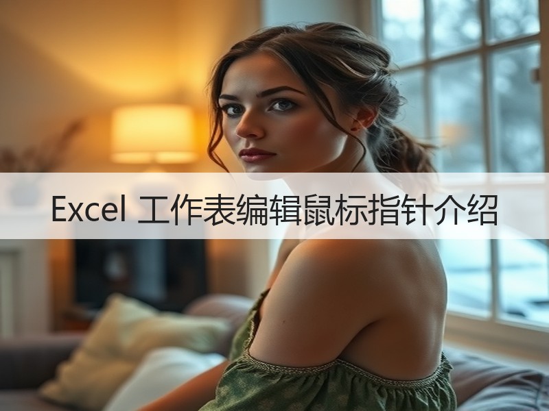 Excel 工作表编辑鼠标指针介绍 - 诺云壹观办公网