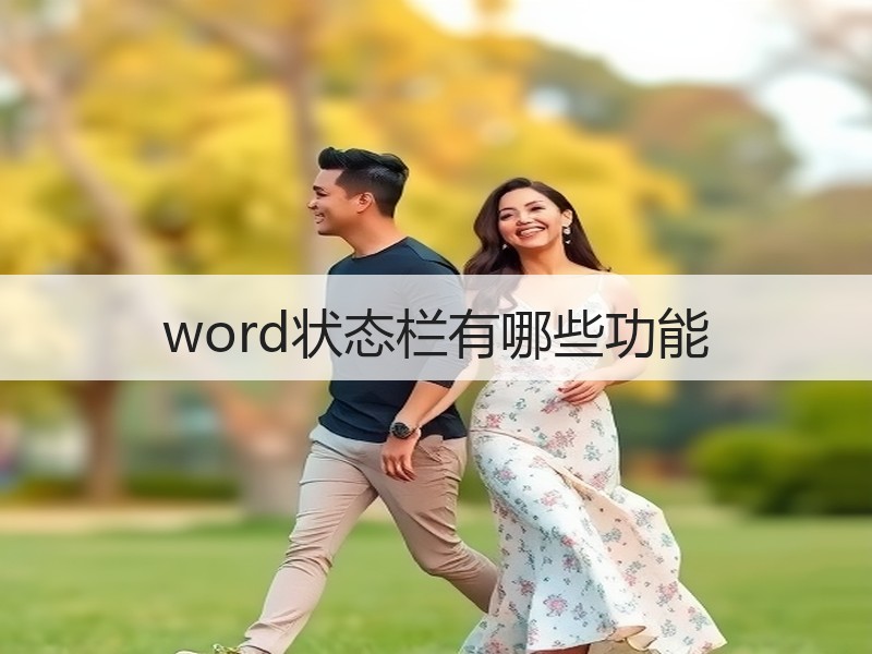 word状态栏有哪些功能 - 诺云壹观办公网