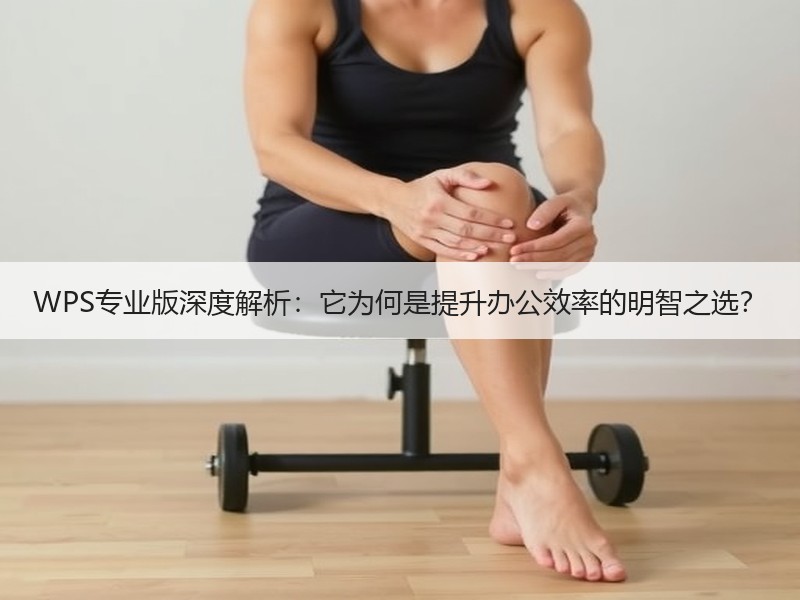 WPS专业版深度解析：它为何是提升办公效率的明智之选？ - 诺云壹观办公网