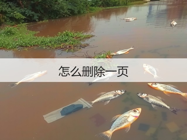 怎么删除一页(图3) 怎么删除一页(图3)