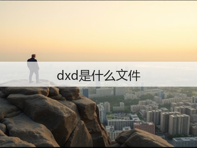 dxd是什么文件(图2)