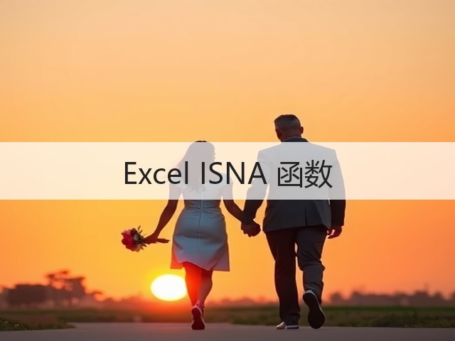 Excel ISNA 函数(图3)