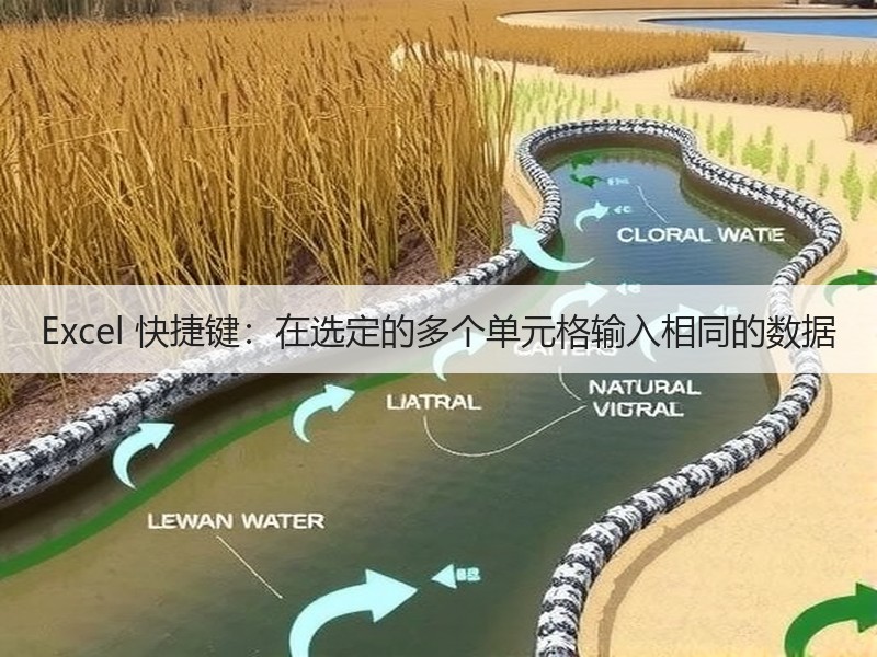 Excel 快捷键：在选定的多个单元格输入相同的数据 - 诺云壹观办公网
