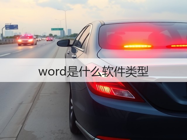 word是什么软件类型(图3) word是什么软件类型(图3)
