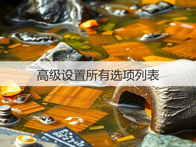 高级设置所有选项列表(图3) 高级设置所有选项列表(图3)