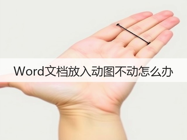 Word文档放入动图不动怎么办(图1) Word文档放入动图不动怎么办(图1)