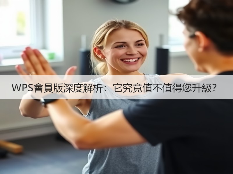WPS會員版深度解析：它究竟值不值得您升級？ - 诺云壹观办公网