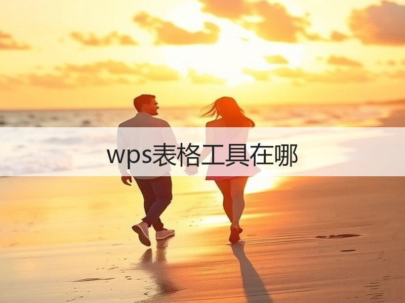 wps表格工具在哪 - 诺云壹观办公网