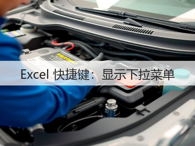 Excel 快捷键:显示下拉菜单(图3) Excel 快捷键:显示下拉菜单(图3)