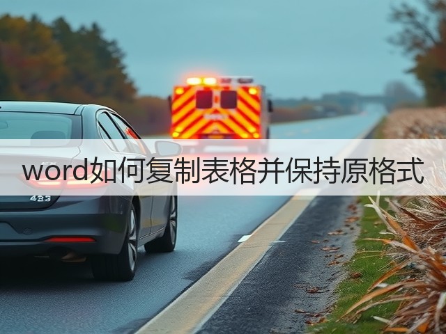 word如何复制表格并保持原格式(图3)