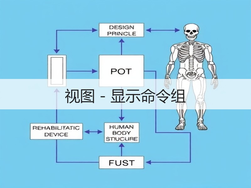 视图 - 显示命令组 - 诺云壹观办公网