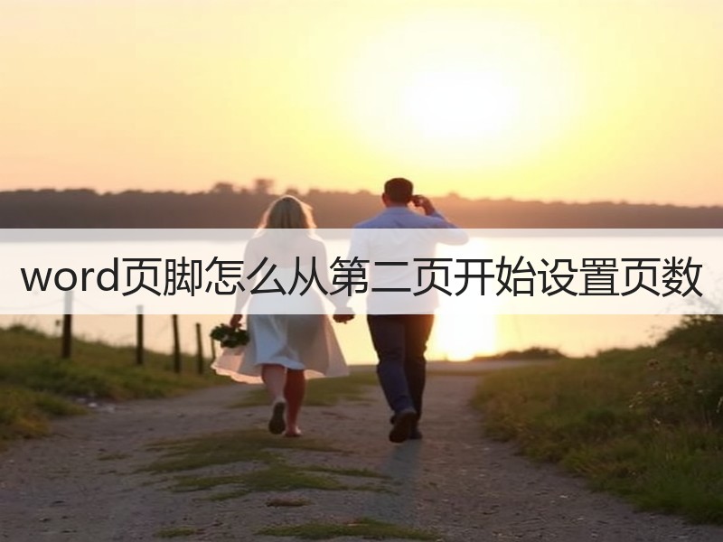 word页脚怎么从第二页开始设置页数 - 诺云壹观办公网