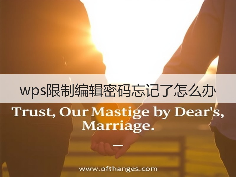 wps限制编辑密码忘记了怎么办 - 诺云壹观办公网