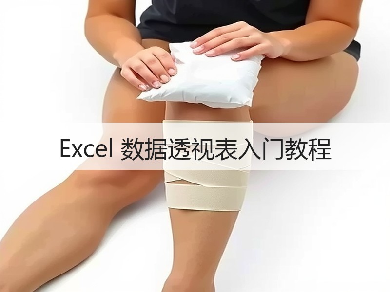 Excel 数据透视表入门教程 - 诺云壹观办公网