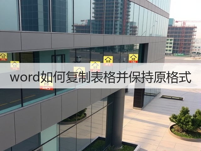 word如何复制表格并保持原格式(图3)