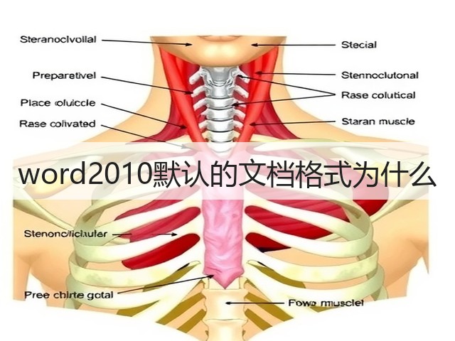 word2010默认的文档格式为什么(图2)