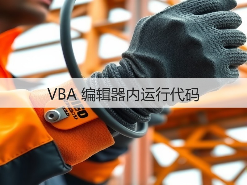 VBA 编辑器内运行代码