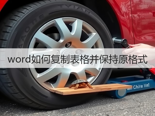 word如何复制表格并保持原格式(图3)
