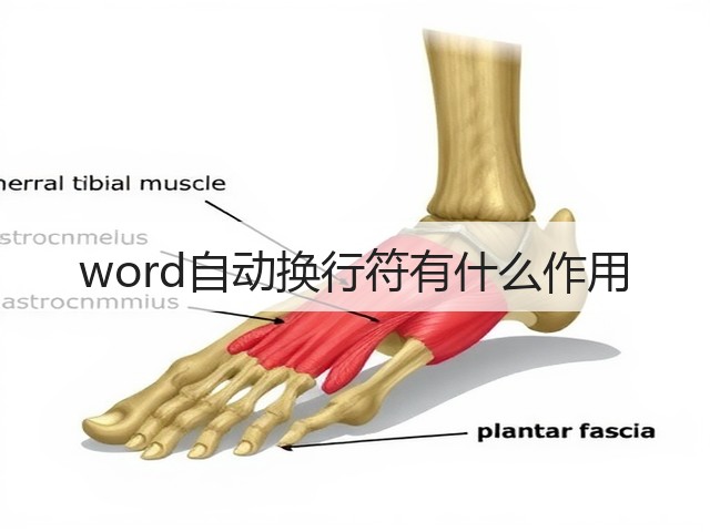 word自动换行符有什么作用(图1)