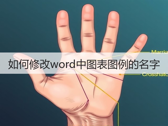 如何修改word中图表图例的名字(图2)