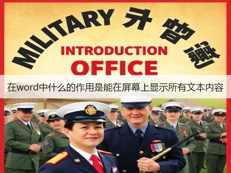 在word中什么的作用是能在屏幕上显示所有文本内容 - 诺云壹观办公网