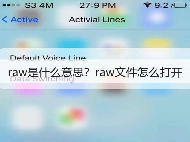 raw是什么意思?raw文件怎么打开(图1) raw是什么意思?raw文件怎么打开(图1)