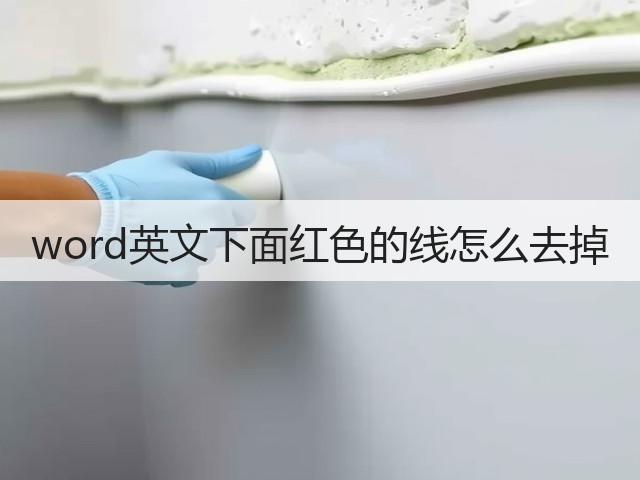 word英文下面红色的线怎么去掉(图2)
